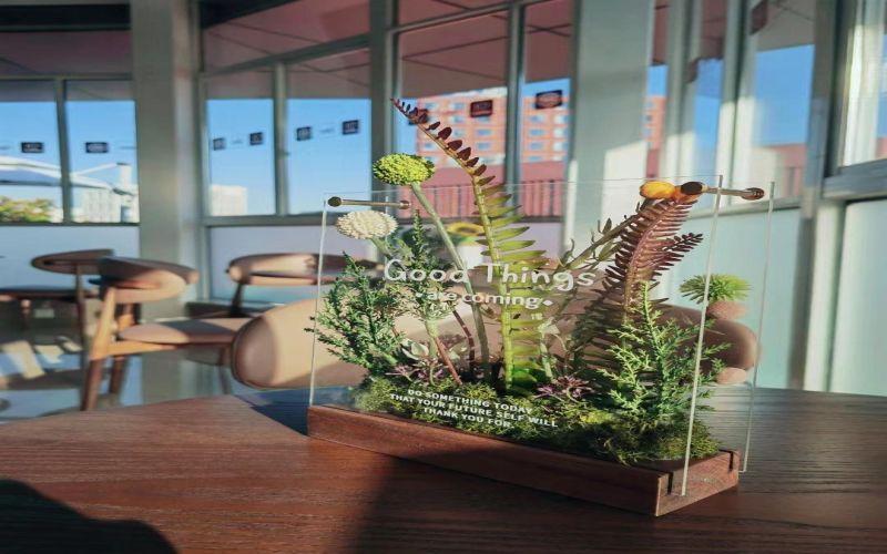 上海邦德职业技术学院