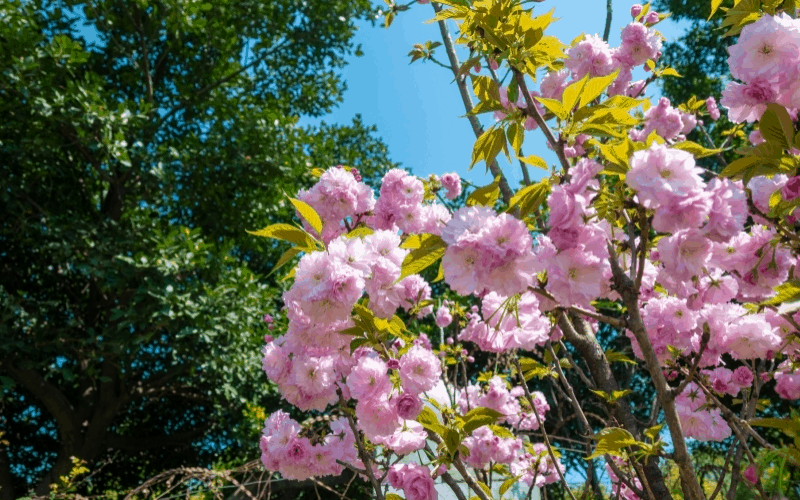 德阳科贸职业学院