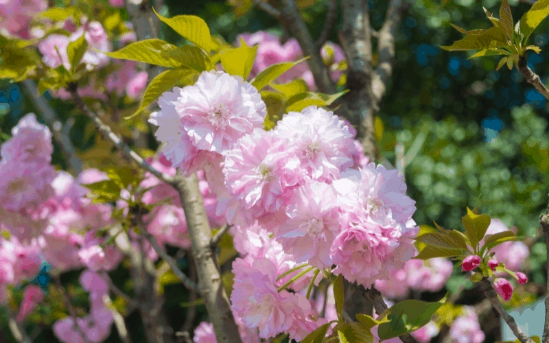德阳科贸职业学院