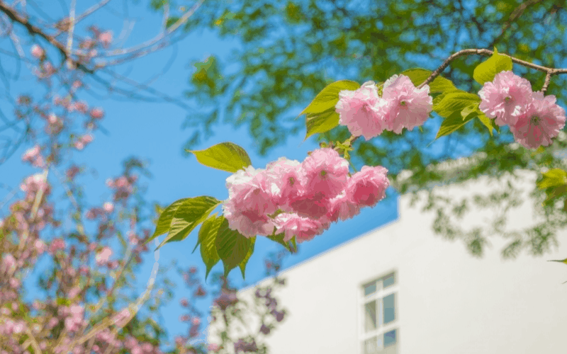 德阳科贸职业学院