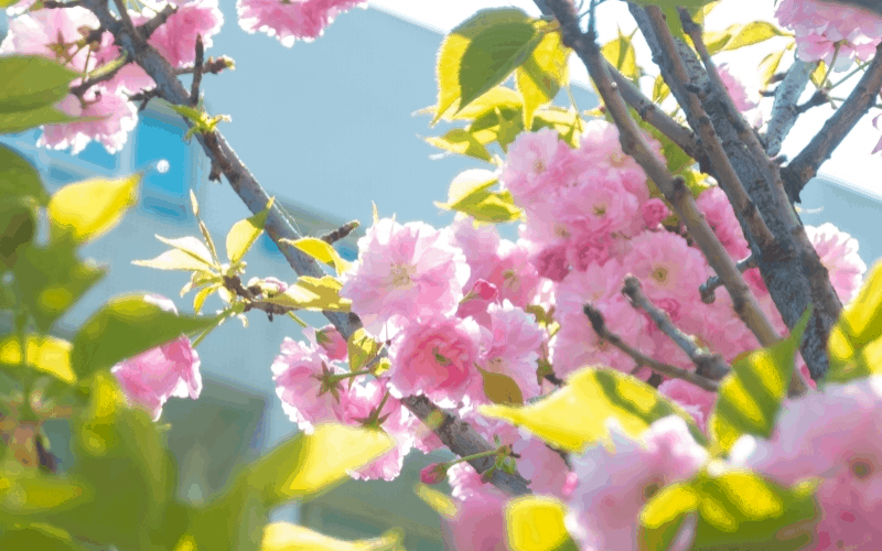 德阳科贸职业学院