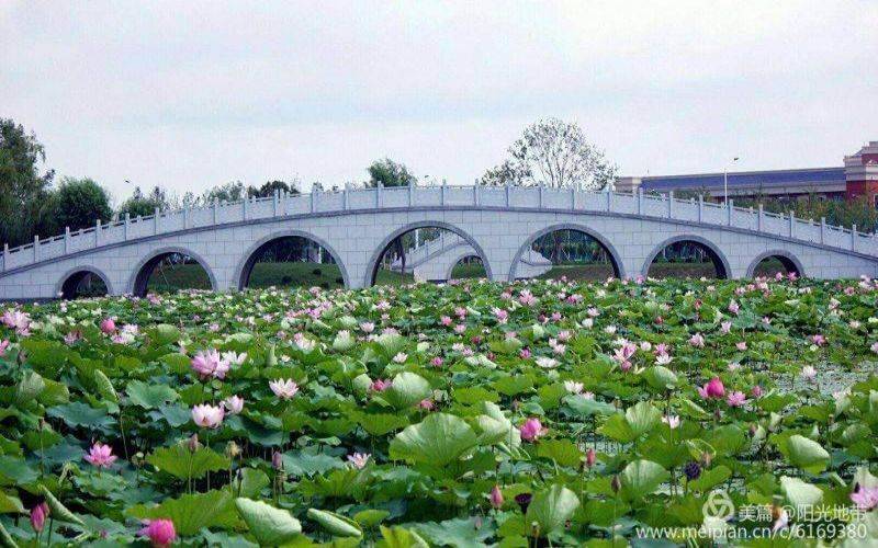 大连工业大学艺术与信息工程学院