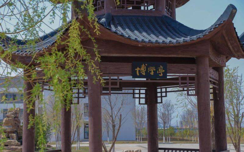 大连工业大学艺术与信息工程学院