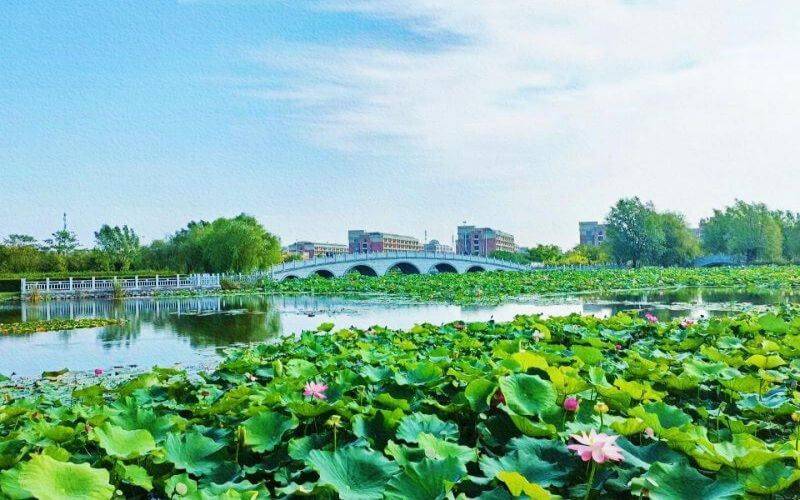 大连工业大学艺术与信息工程学院