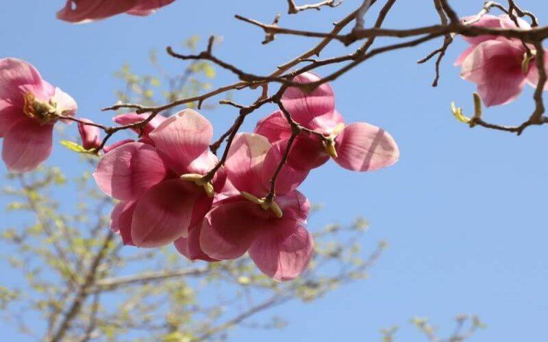 大连工业大学艺术与信息工程学院