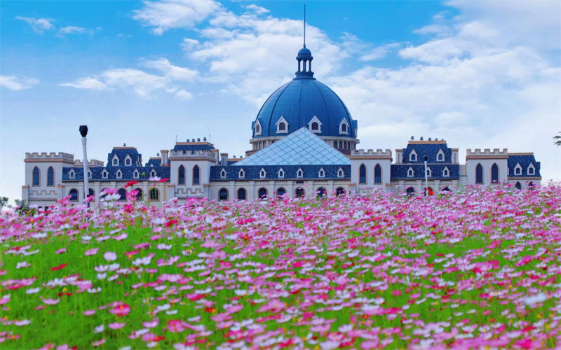 广东工商职业技术大学