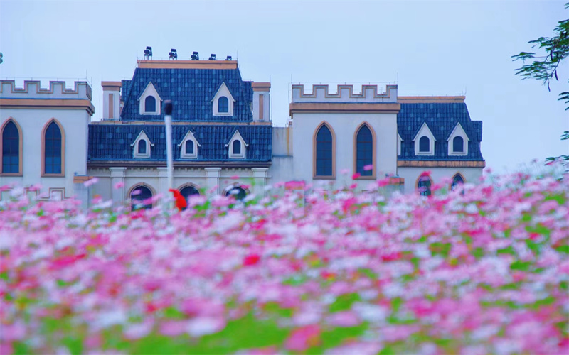 广东工商职业技术大学