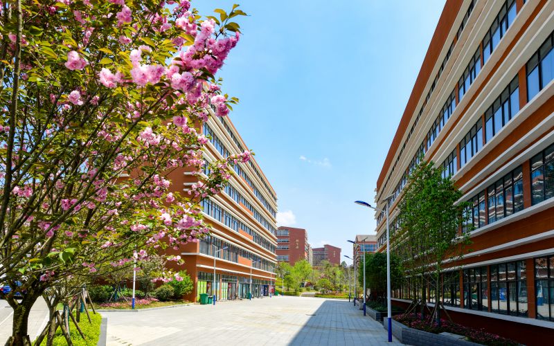 贵州传媒职业学院