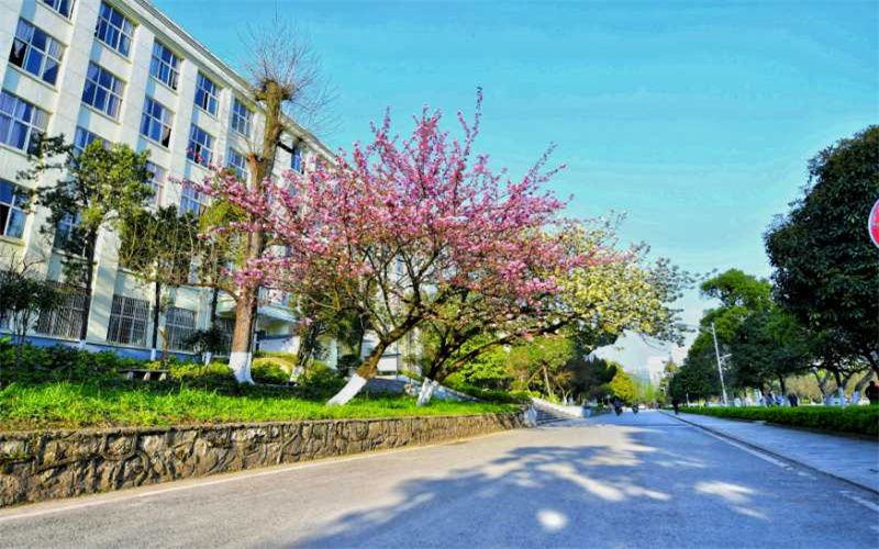 贵州生态能源职业学院