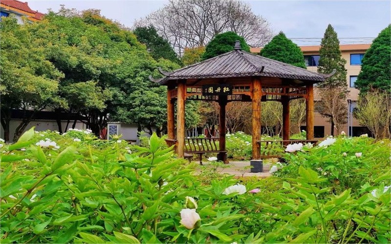 黔南民族职业技术学院