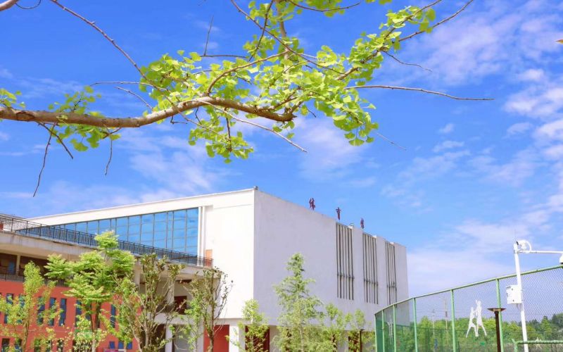 毕节幼儿师范高等专科学校