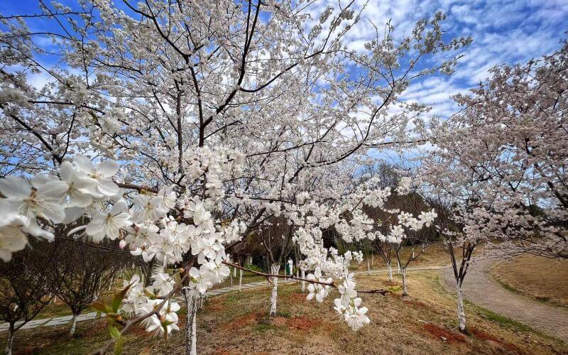 江西管理职业学院
