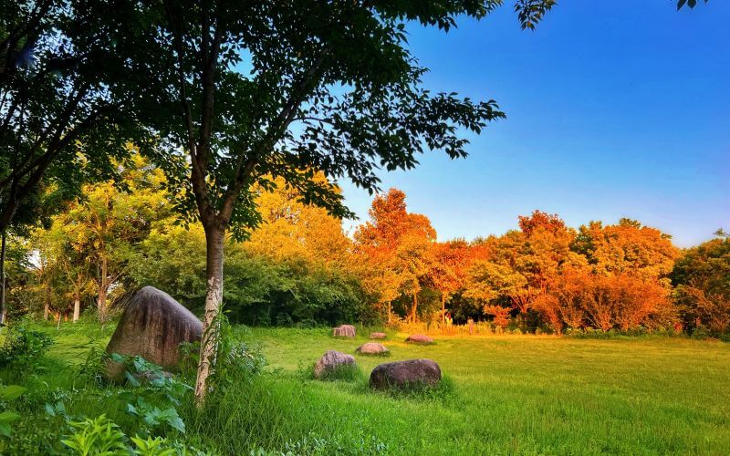 江西管理职业学院