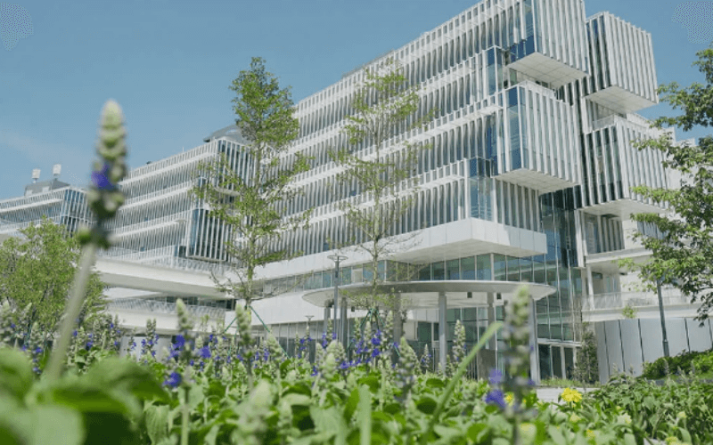 香港科技大学（广州）