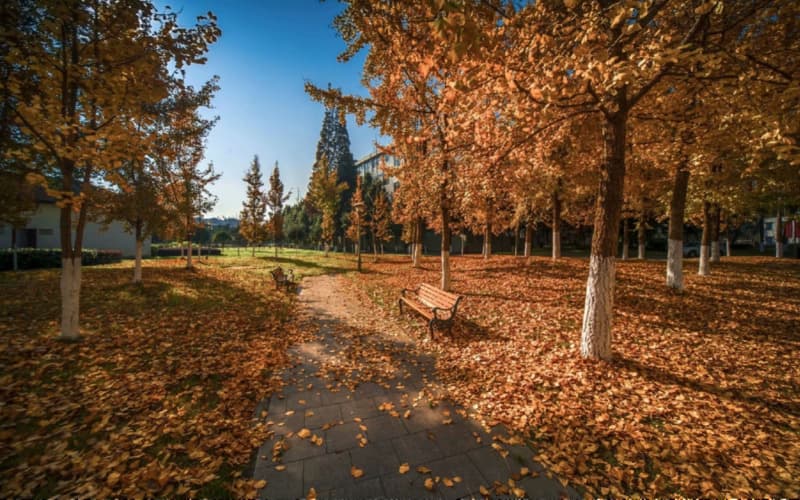 四川电力职业技术学院