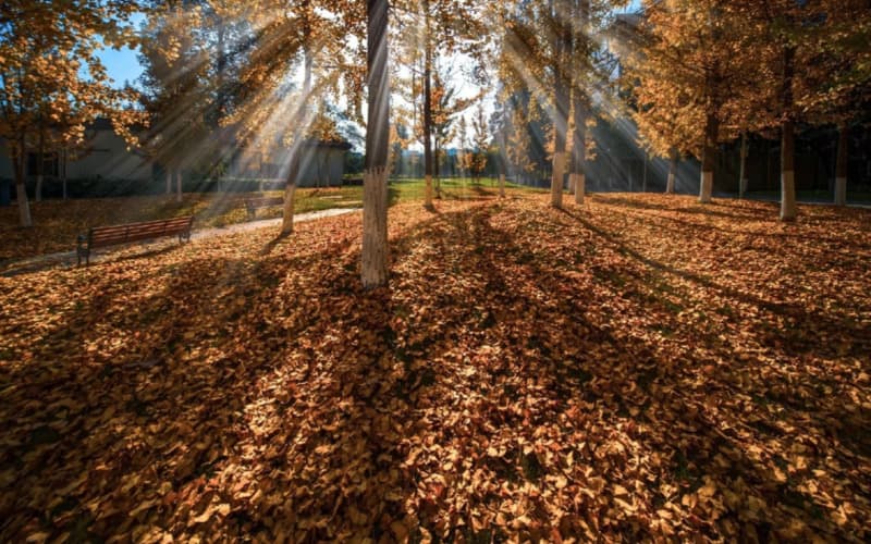 四川电力职业技术学院