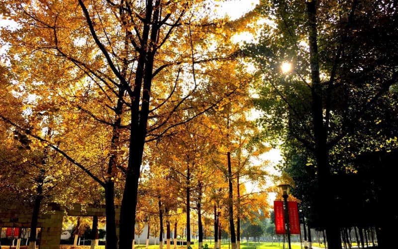 四川电力职业技术学院