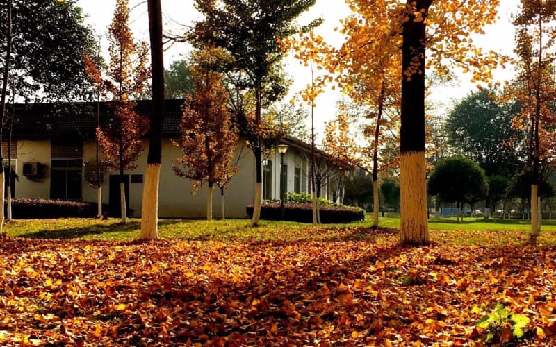 四川电力职业技术学院