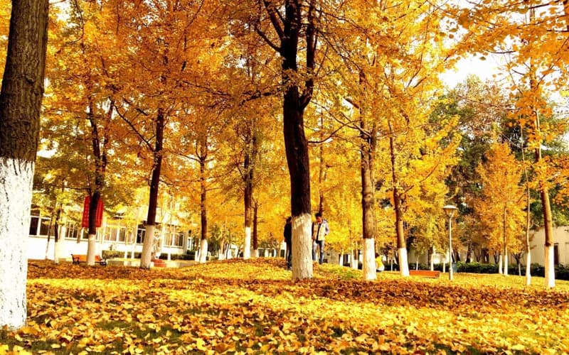 四川电力职业技术学院