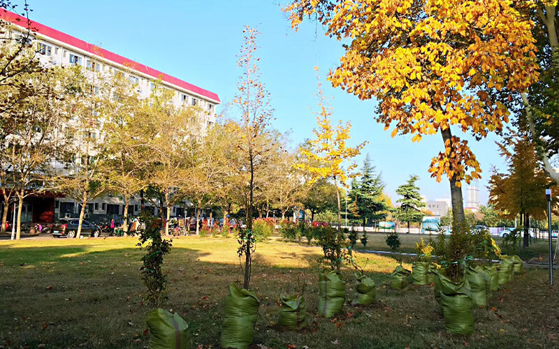 河南林业职业学院