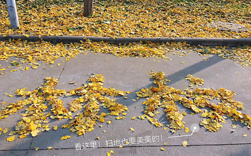 河南林业职业学院