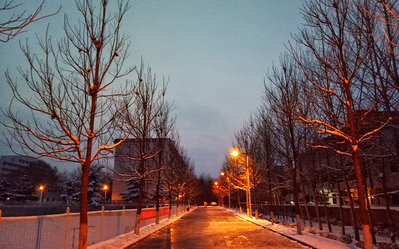 河南林业职业学院