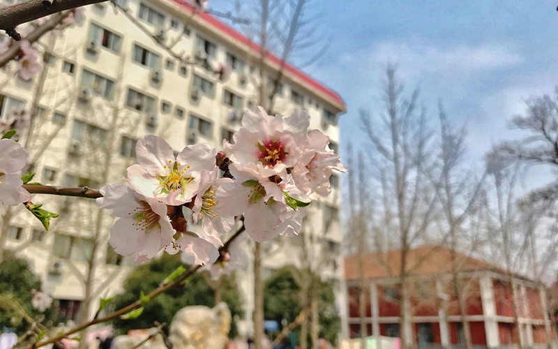 河南林业职业学院