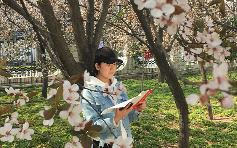 河南林业职业学院