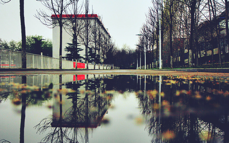 河南林业职业学院