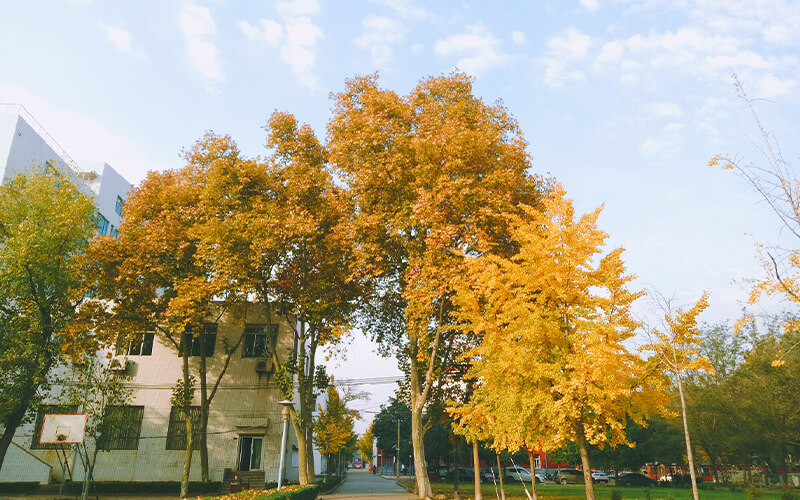 河南林业职业学院