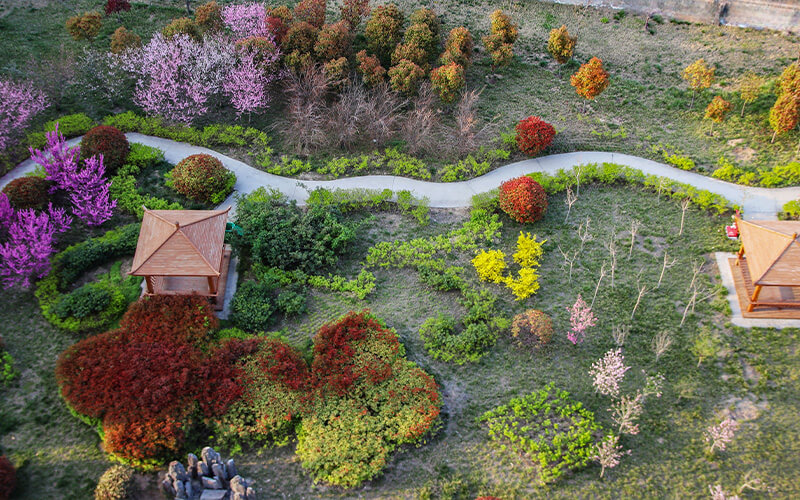 商丘幼儿师范高等专科学校