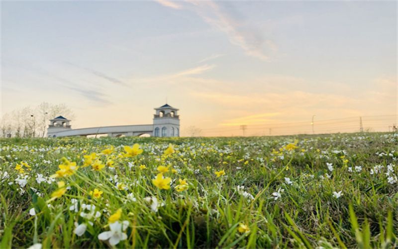 安徽外国语学院