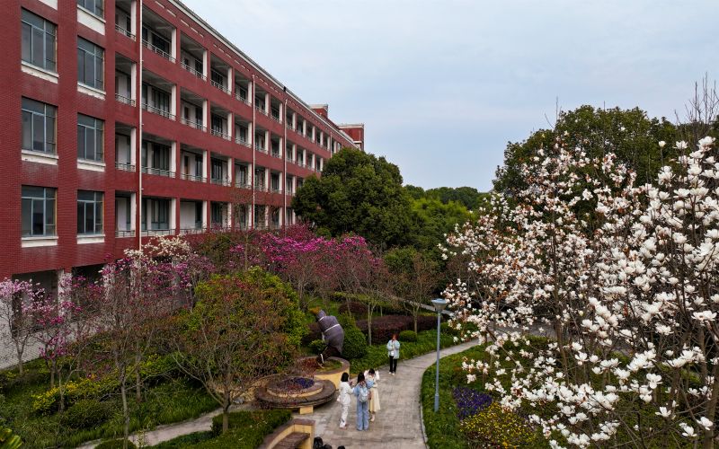 上海杉达学院