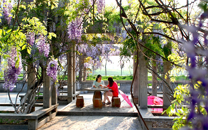 江苏信息职业技术学院