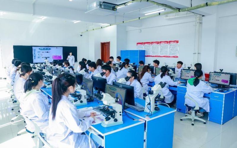 辽宁中医药大学