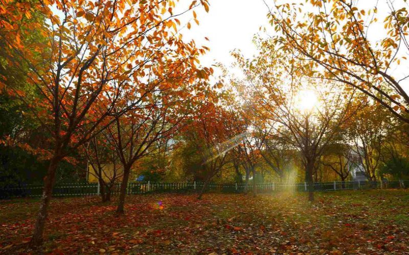 常州信息职业技术学院