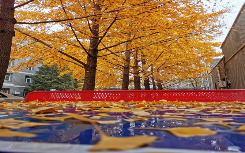 北京卫生职业学院
