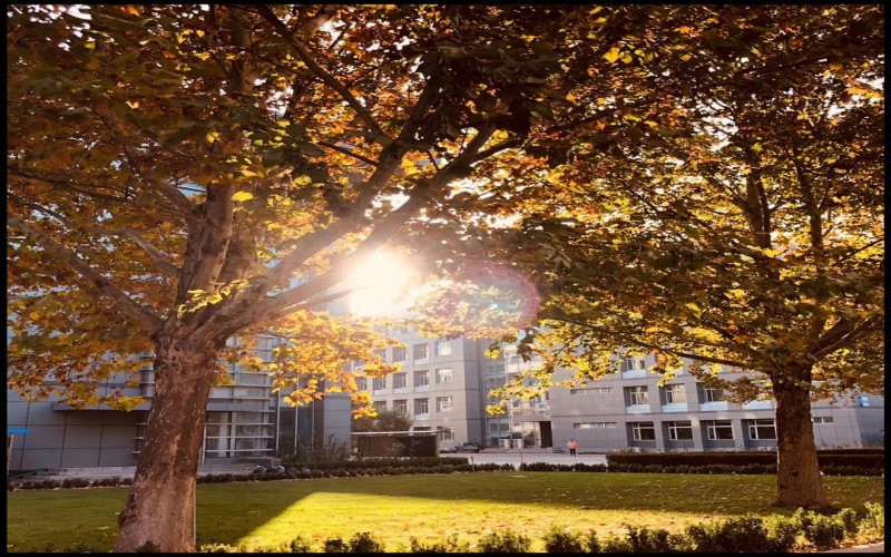 北京卫生职业学院