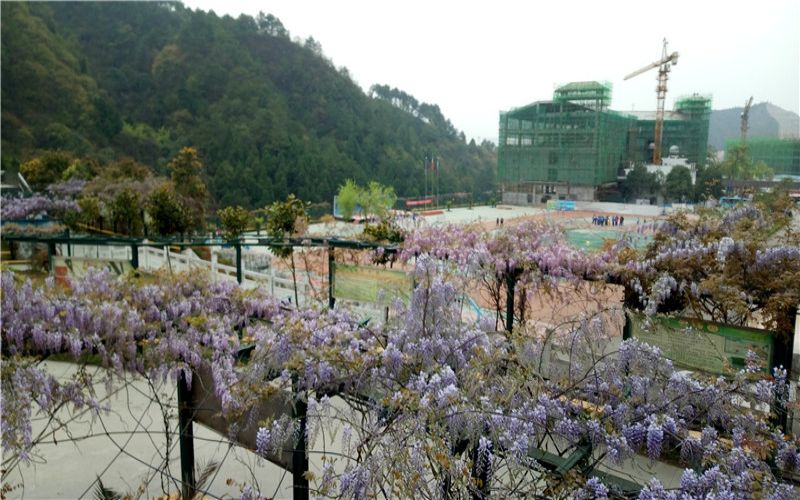 黔东南理工职业学院