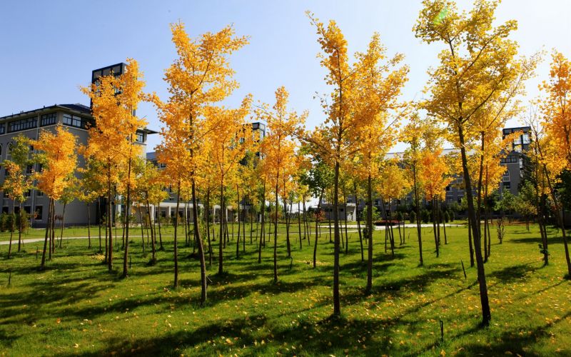 宁夏民族职业技术学院