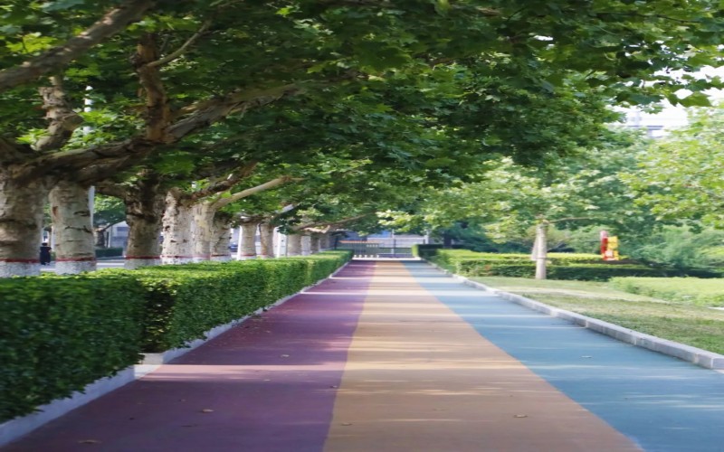 石家庄理工职业学院