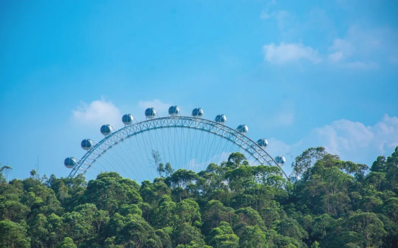 深圳城市职业学院
