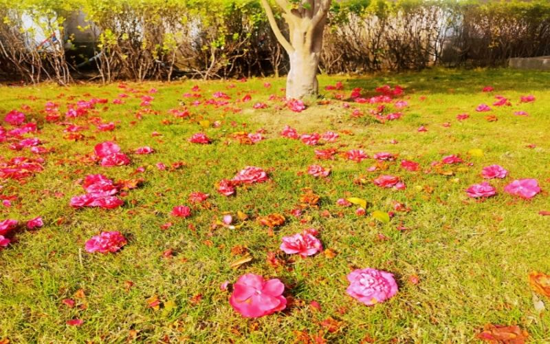 上海工商职业技术学院