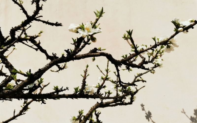 上海工商职业技术学院