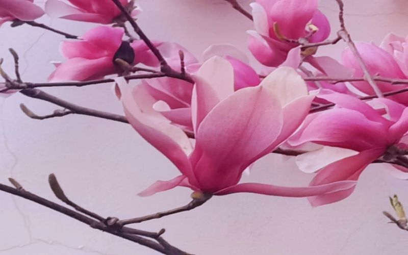 上海工商职业技术学院