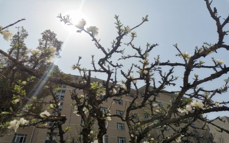 上海工商职业技术学院