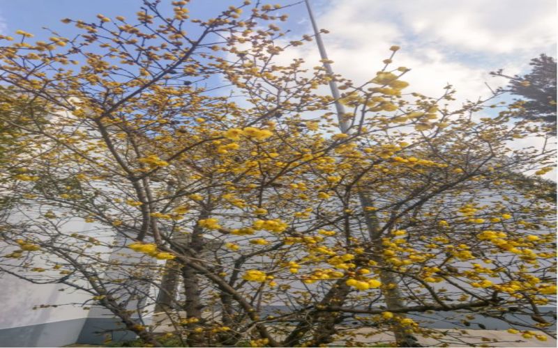 上海工商职业技术学院