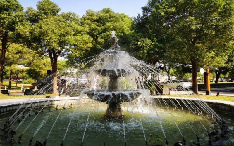 上海工商职业技术学院