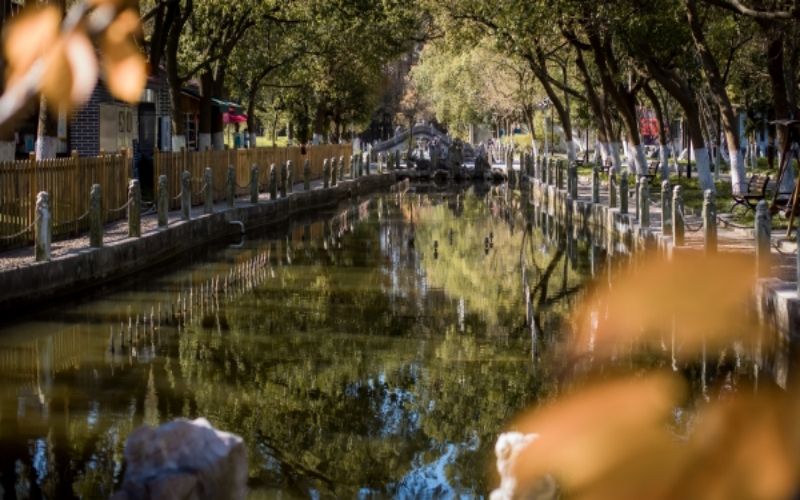 上海工商职业技术学院