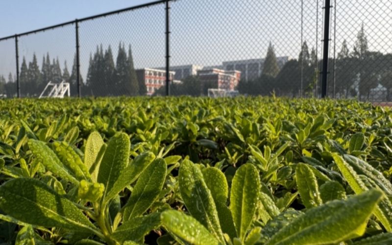 上海工商职业技术学院